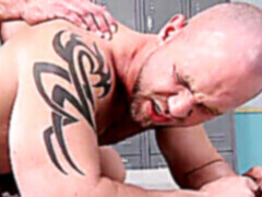 Gay muscle, gay bear, young muscle