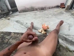 I came in the backyard for my neighbor to observe