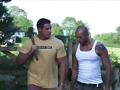 out on the farm 1