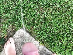 Backyard Pissing