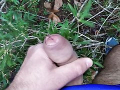 Enjoying in the woods