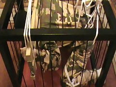Stocked slave in a cage
