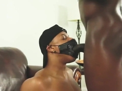 XXX Lipz taking knight