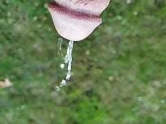 Small cock slow motion pissing outside