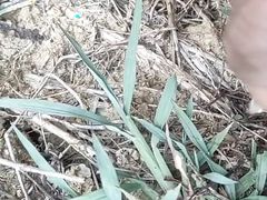Outdoor Indian Boy Handjob mms