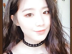 Shuhua cum tribute