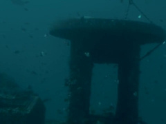 Men - Colby Tucker Feels Like The Only Guy On The Beach With His Sexy Buddy