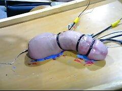 precum edgeing