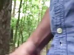 Springtime in the wood