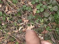 Cruising after Lee in the woods