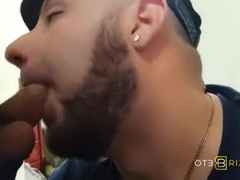 Recopilación de tragadas de leche