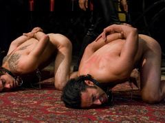 Appealing slaves let their master spank them during rough maledom games