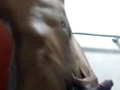 19 year old black masturbates & cums in front of camera !