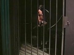 Muscle gay guys doggy style fucking in jail