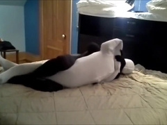 Black zentai vs White zentai