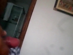 Bezerro carioca mamando os machos 10