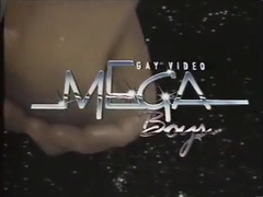 Vintage - Heisse Pinsel (hot Brush)