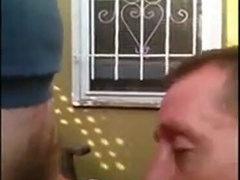 Osos amateurs: Mamada y tragar