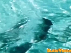 Hairy vintage muscle gay studs deepthroat and fuck raw