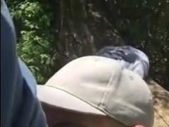 Bear cruising in the woods