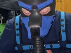 Pup Slams Tail, Plays with plaything schlong, Spunks fellate and luvs.