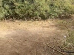 Wanking this Man Rod at the Park