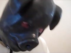 Board Bondage Cock Collar