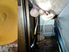 Bear sex, filmy hd, masturbacja