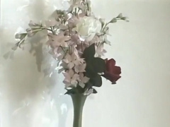 Tokyo Men fuck with Honor - Samurai Video Inc