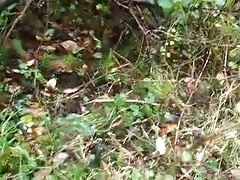 Cum Tribute to Leah Francis beside railway in Thatcham