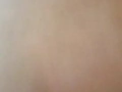 daddy breeding pig