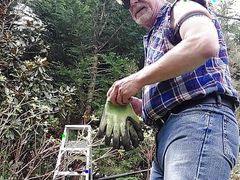 Taking down tree limbs and branches