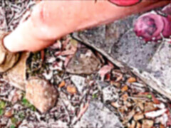 thicket ambling my E-stim