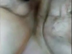 Hi KC Dane Viking a Ginger Teddy