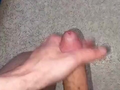 2024 will be even livelier