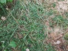 PUBLIC URINATION compilation