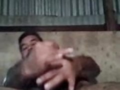 Oso peludo sacando leche