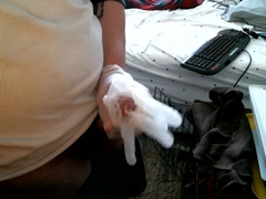 Jizz Mitten