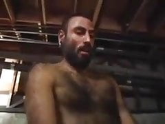 Hairy master