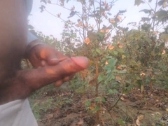 Humungous Black Manmeat Indian Stud Outdoor