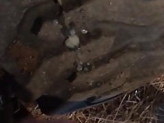 farmer cum on tractor tire