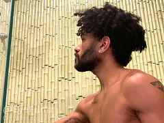 Gay amador, gay amauter, dotado