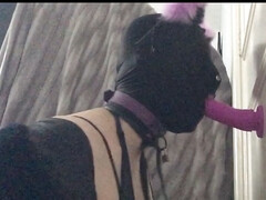 Leather catsuit and fur