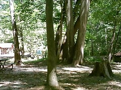 Caught Jacking Off At Picnic Sites SEPTEMBER-2015
