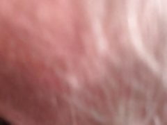 Daddy blowing the cub