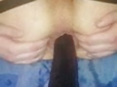 16 inch Dildo