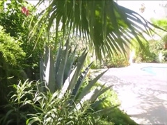 Big-Cock Bear Barebacks Amateur Lurker