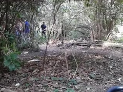 crusing in the forest