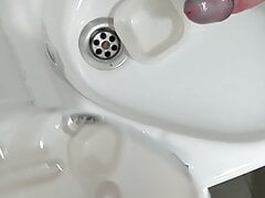 SPERM MILKING, SPERM COLLECTION BASIC MATERIAL FOR A DELICITY