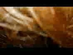 sucking BBC